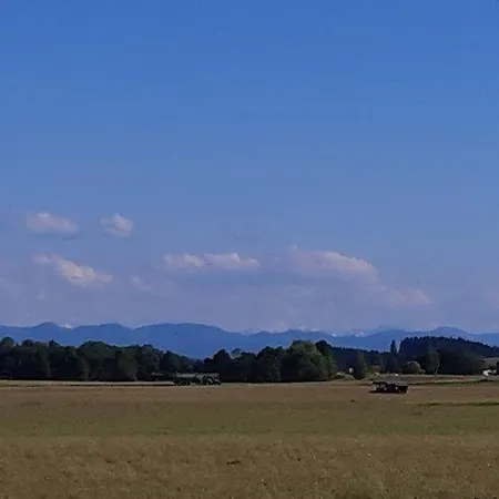 Apartment In Den Wiesen *