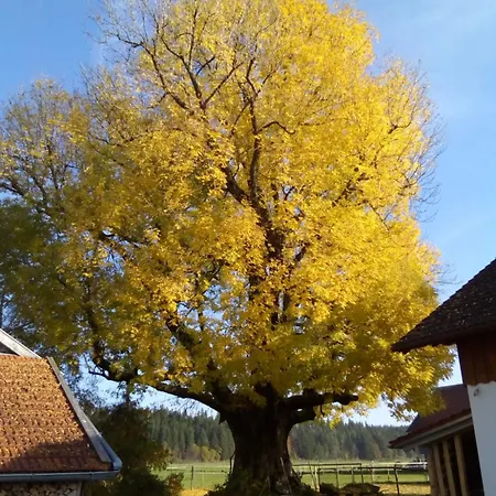 In Den Wiesen